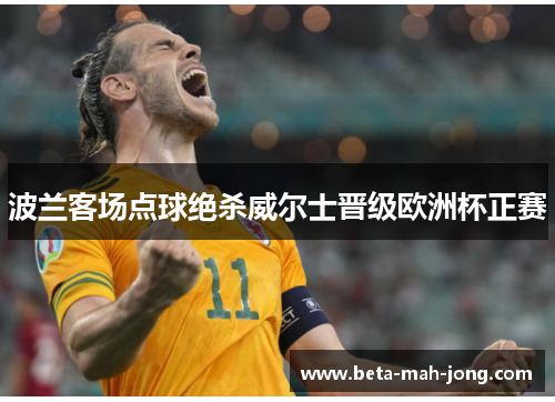 波兰客场点球绝杀威尔士晋级欧洲杯正赛
