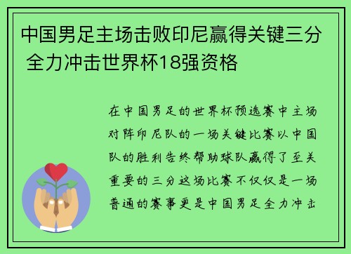 中国男足主场击败印尼赢得关键三分 全力冲击世界杯18强资格 中国男足主场击败印尼赢得关键三分 全力冲击世界杯18强资格